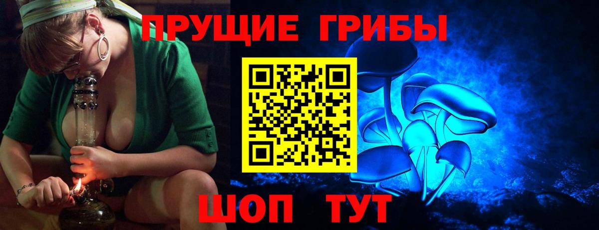 Реутов  Псилоцибиновые грибы мухоморы  как найти наркотики  Вход с VPN 